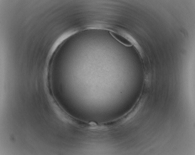 X0000115581146200911101142