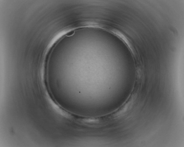 X0000115581147200911101142