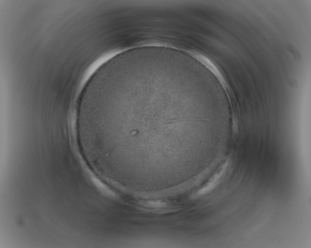 X0000115581149200911101142