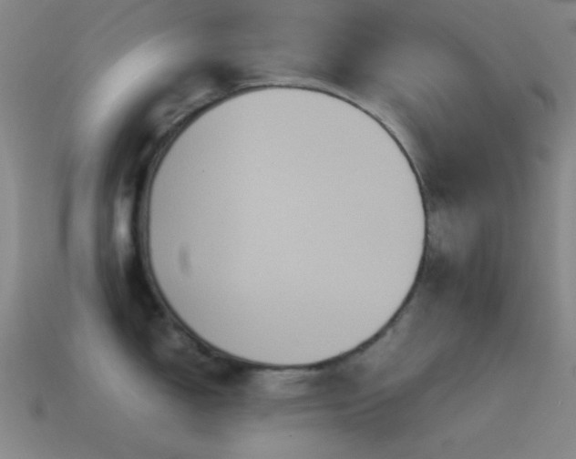 X0000115581150200911101142