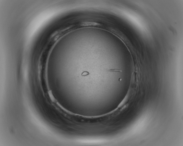 X0000115581151200911101142