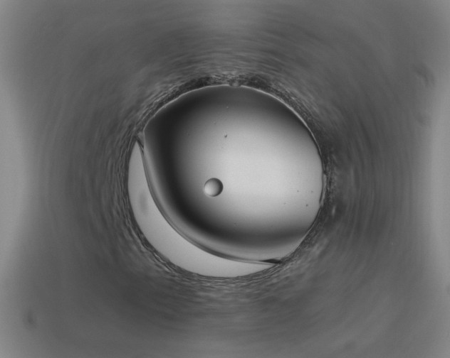 X0000115581153200911101142