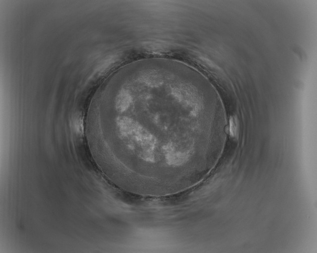 X0000115581155200911101142