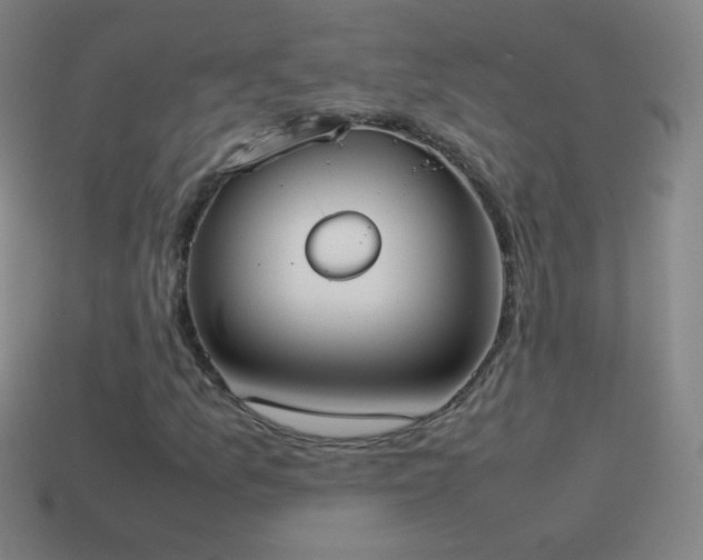 X0000115581157200911101142