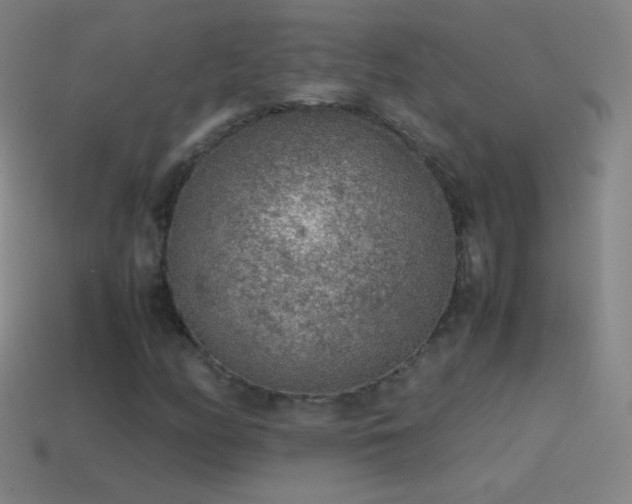 X0000115581158200911101142