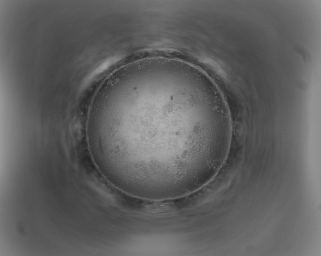 X0000115581159200911101142