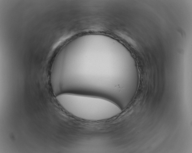 X0000115581160200911101142