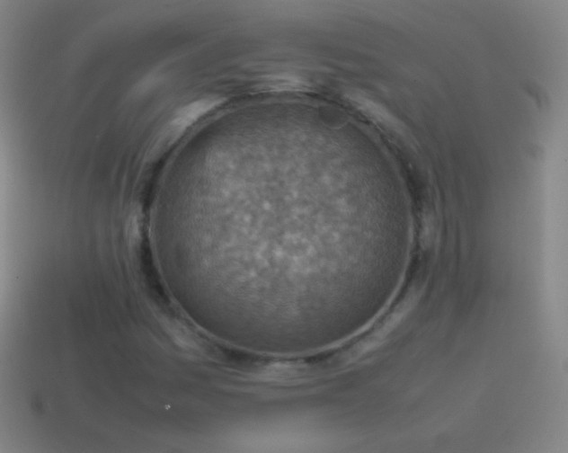 X0000115581161200911101142