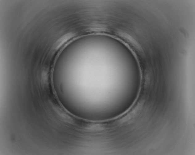 X0000115581162200911101142