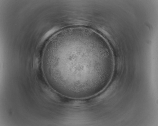 X0000115581163200911101142