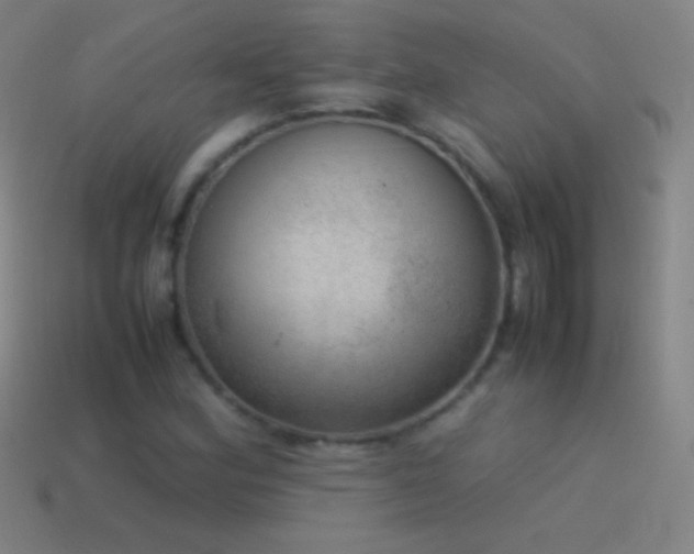 X0000115581164200911101142