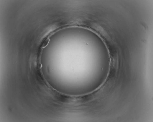 X0000115581165200911101142