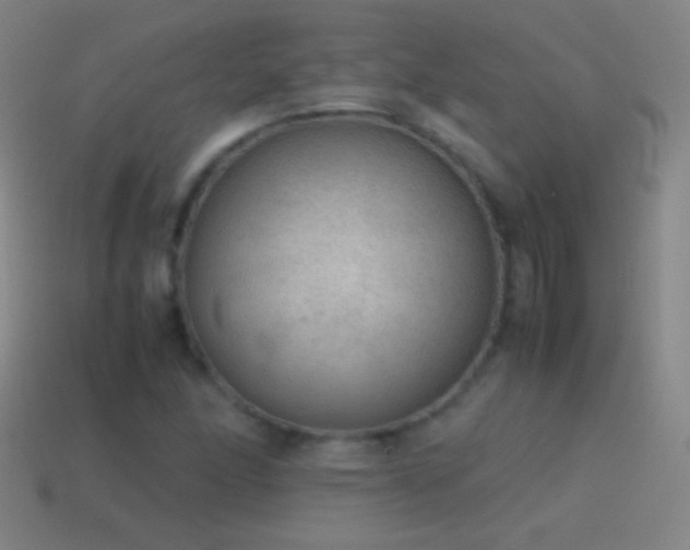 X0000115581166200911101141