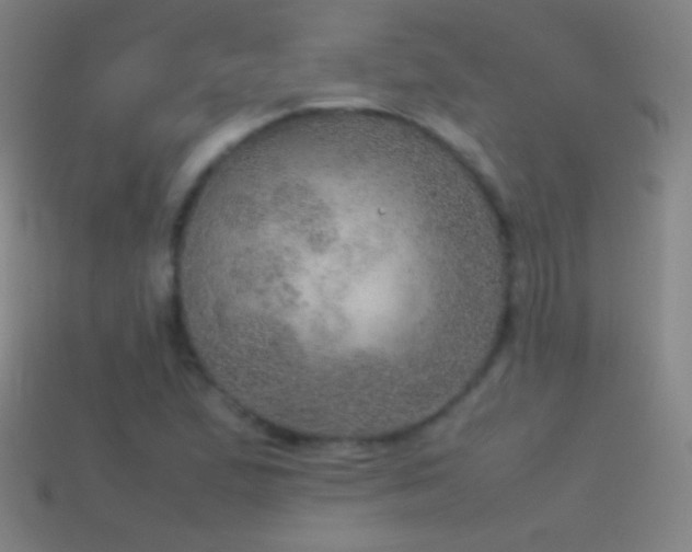 X0000115581167200911101141