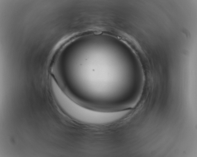 X0000115581168200911101141