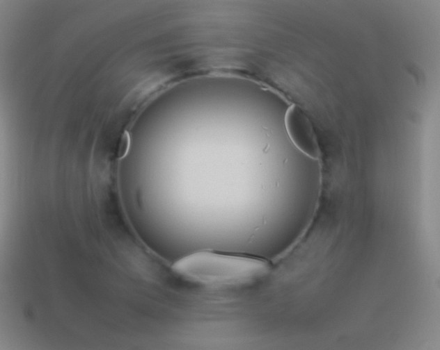 X0000115581169200911101141