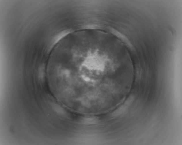 X0000115581170200911101141