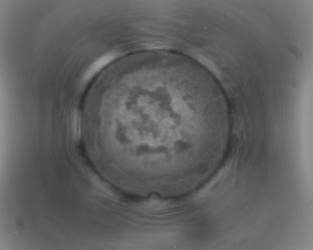 X0000115581171200911101141