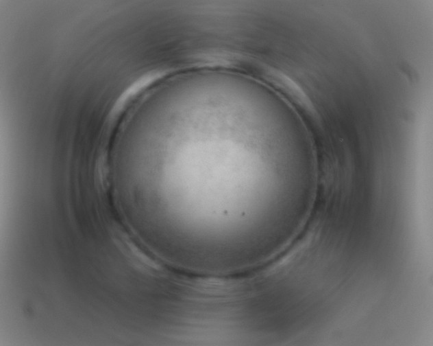 X0000115581172200911101141