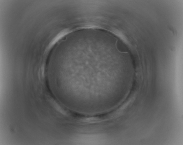 X0000115581173200911101141