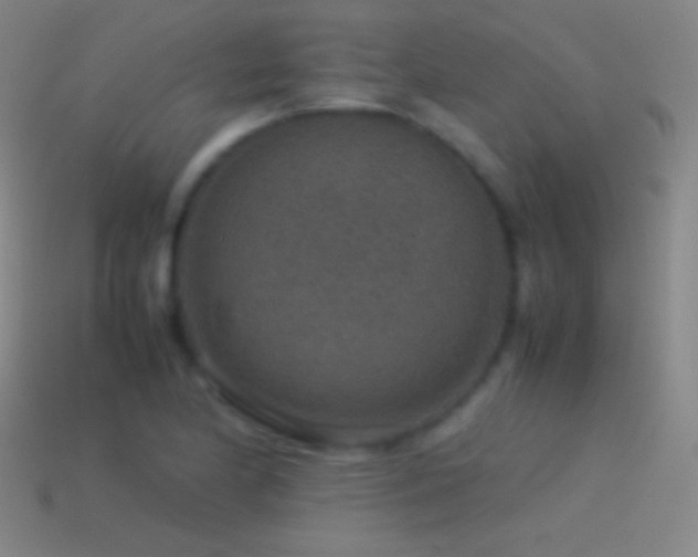 X0000115581174200911101141