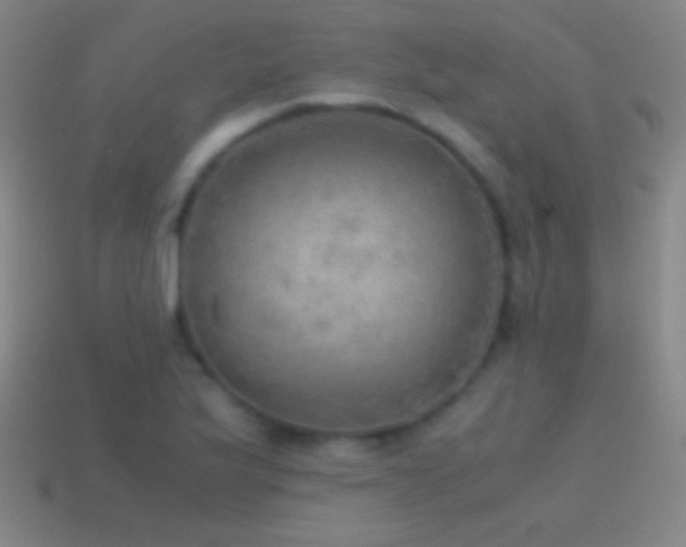 X0000115581175200911101141