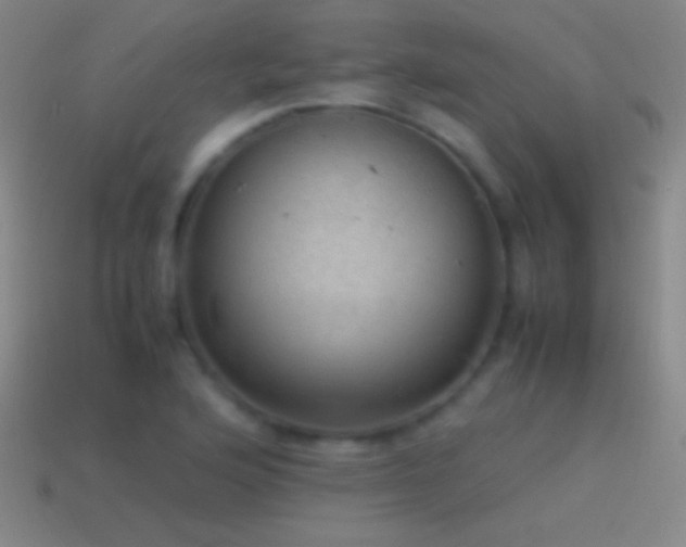 X0000115581176200911101141