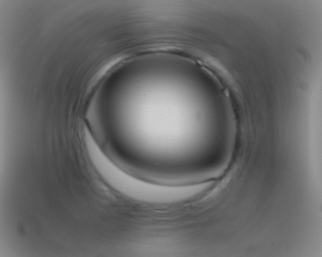 X0000115581177200911101141