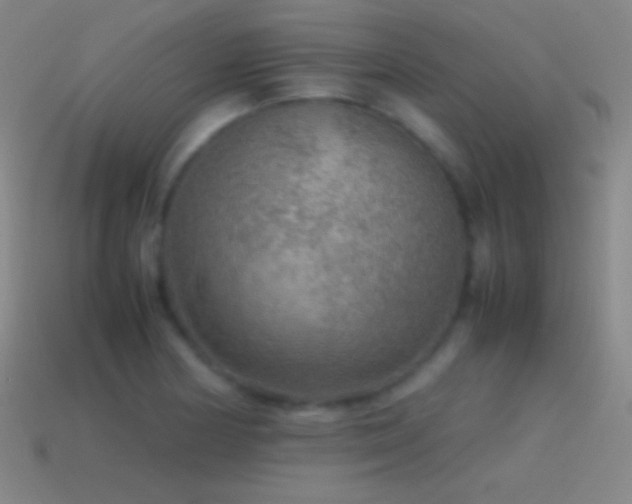 X0000115581178200911101141