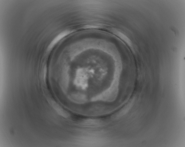 X0000115581179200911101141