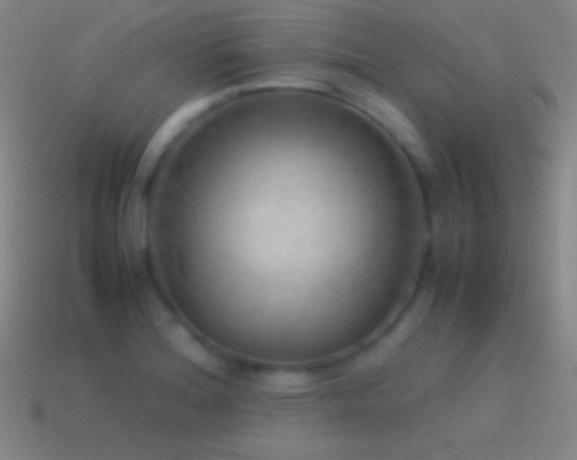 X0000115581180200911101141