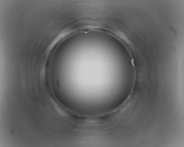 X0000115581181200911101141