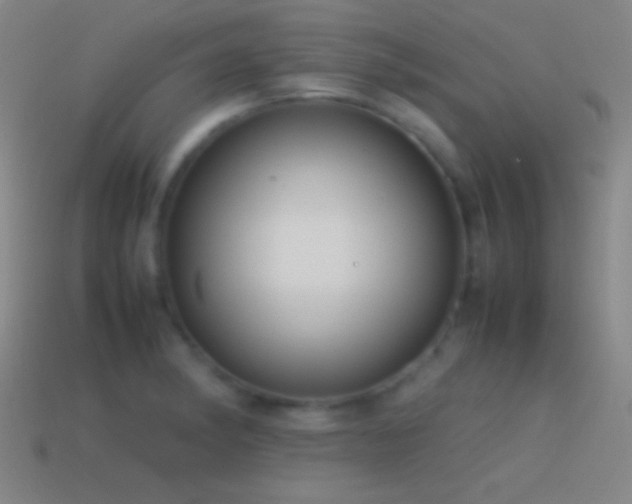 X0000115581182200911101141