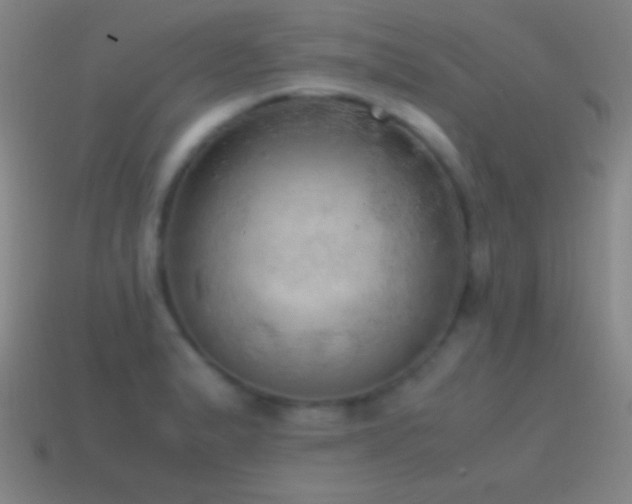 X0000115581183200911101141