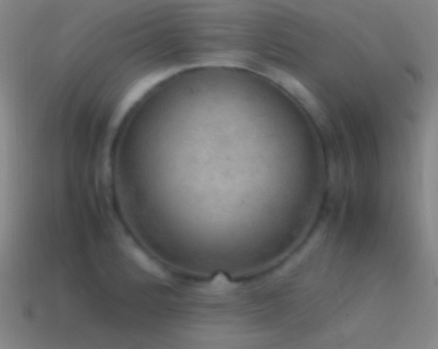 X0000115581184200911101141