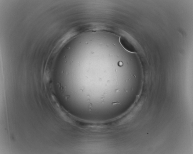 X0000115581185200911101141