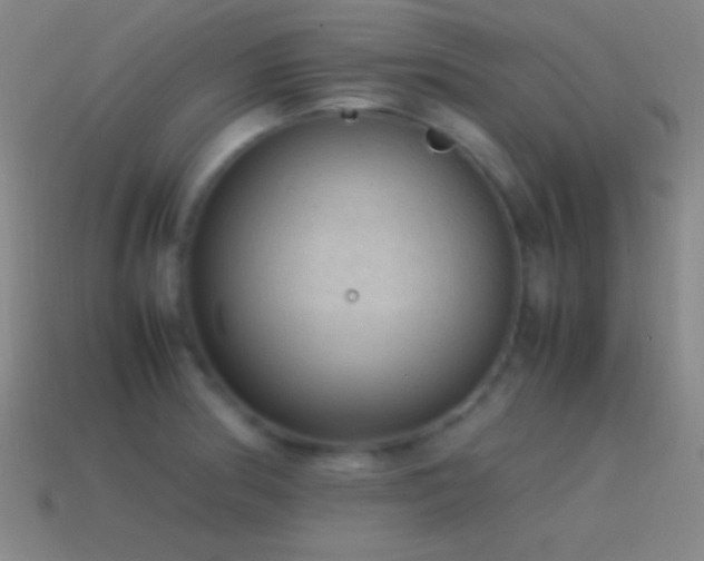 X0000115581186200911101141