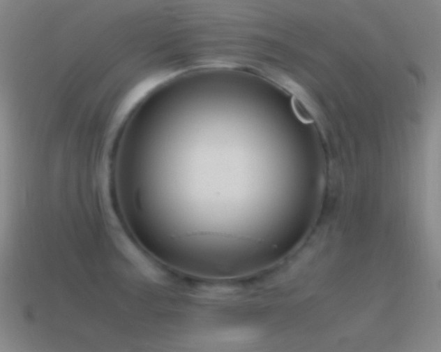 X0000115581187200911101141