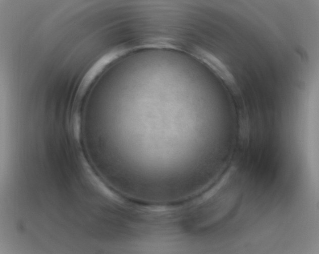 X0000115581188200911101141