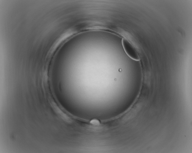 X0000115581189200911101141