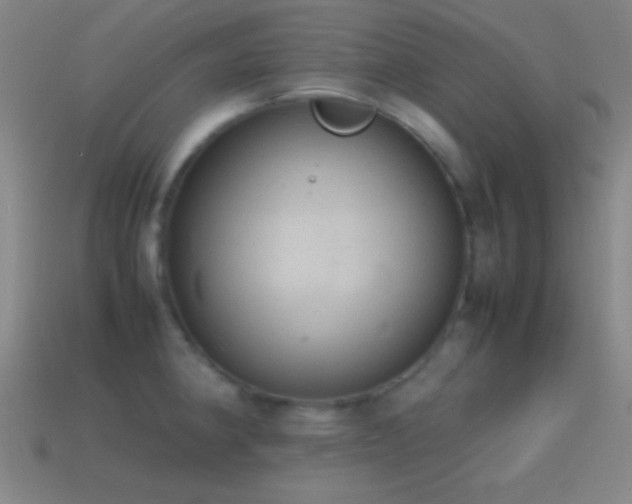 X0000115581190200911101141