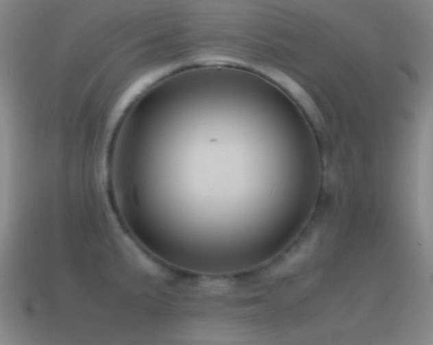 X0000115581191200911101141