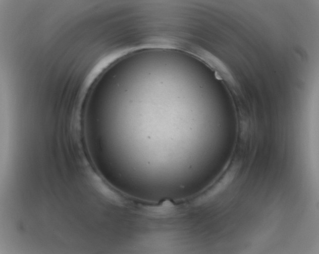 X0000115581192200911101141