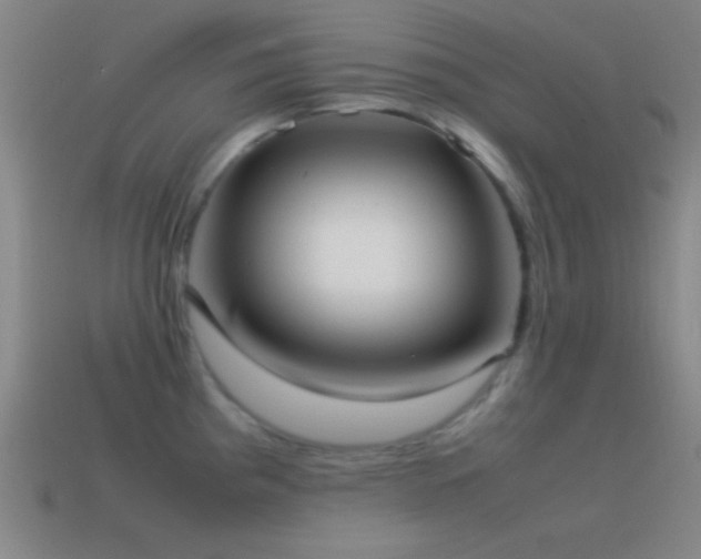 X0000115581193200911101141