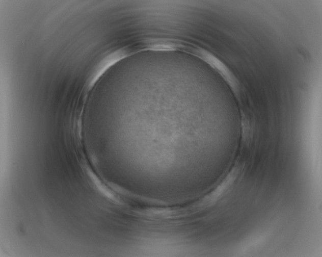 X0000115581194200911101141