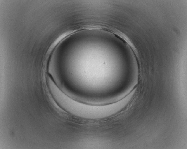 X0000115581195200911101141