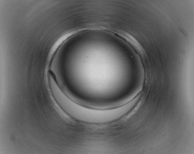 X0000115581196200911101141