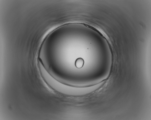 X0000115581197200911101141