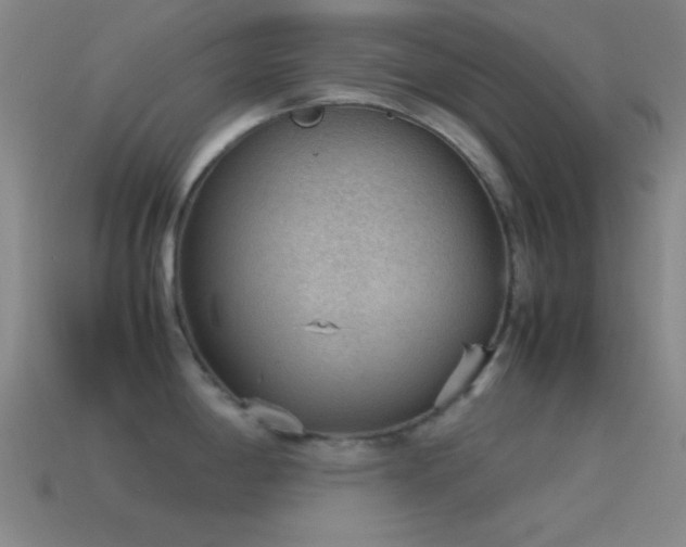 X0000115581198200911101141