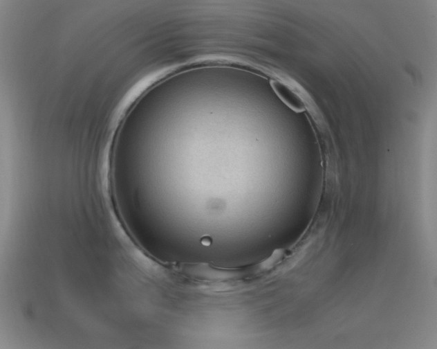 X0000115581199200911101141